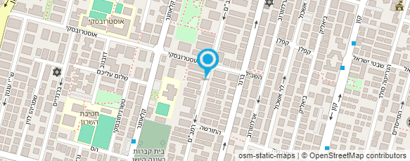 מפת הגעה אל לילי ברידא-טיפול באומנות