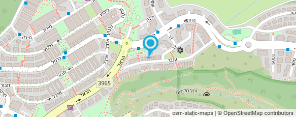 מפת הגעה אל מאיה מרום-תרפיה במוזיקה