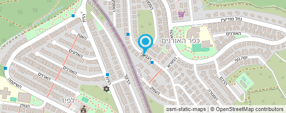 מפת הגעה אל שבי מדזיני-תרפיסטית באומנות