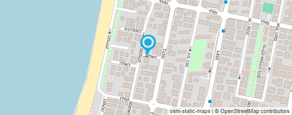 מפת הגעה אל בייבי פייס  - שירה נייגר