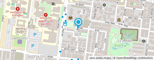 מפת הגעה אל צדוק - עבודות גבס