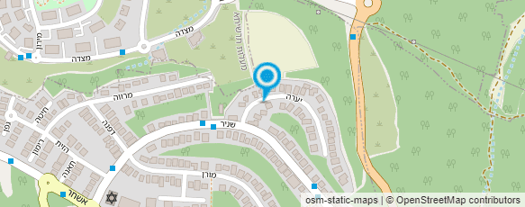 מפת הגעה אל אמנות בשמונה אצבעות-אבנר רביב