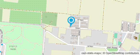 מפת הגעה אל גלריה עלמה-Almas Gallery