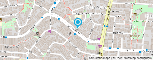 מפת הגעה אל הסביח של סמי