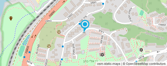 מפת הגעה אל מוניות ליאוניד מפת הגעה אל מוניות ליאוניד