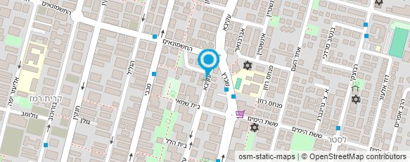 מפת הגעה אל צ'ודקוב ילנה הרצאות והוראת פסנתר