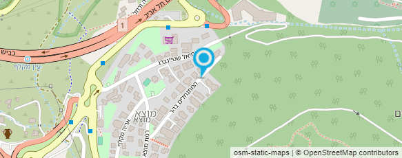 מפת הגעה אל פאזל עץ דנה