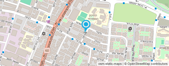 מפת הגעה אל אסתר הורגן