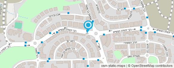 מפת הגעה אל בזר שטראוס