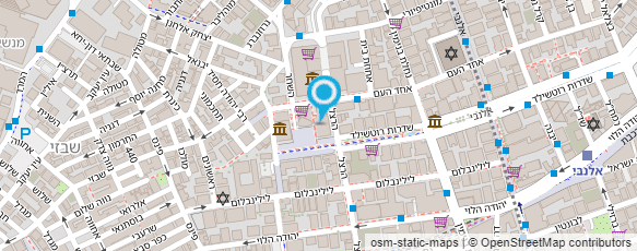 מפת הגעה אל גינסבורג ושות' מפת הגעה אל גינסבורג ושות'