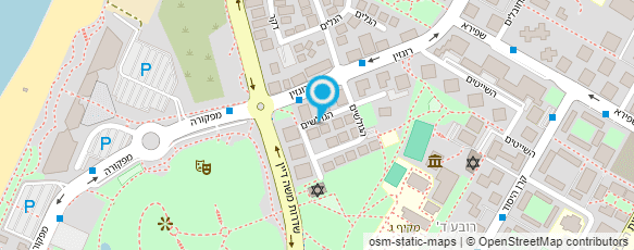 מפת הגעה אל טנייה ספקטור