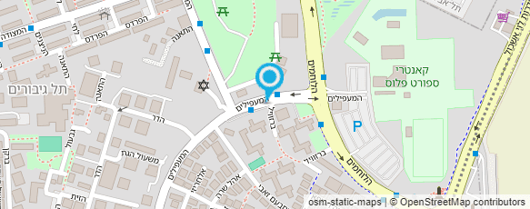 מפת הגעה אל איי טי גולדמן