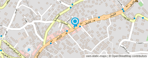 מפת הגעה אל פלאפל רמזי