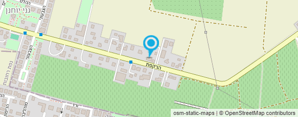 מפת הגעה אל פלינה - אומנות והרבה ספרות