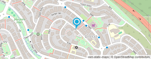 מפת הגעה אל טלי קוסמטיקה