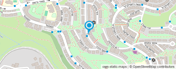 מפת הגעה אל רז קידר-ביה"ס לגילוף ופיסול קולינארי