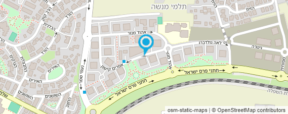 מפת הגעה אל שיווק אינטרנט - Site Success