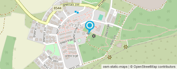 מפת הגעה אל ד"ר ויקטור דואני כירופרקטור