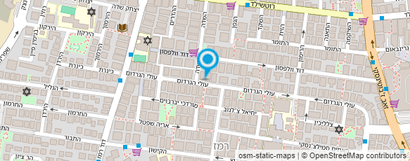 מפת הגעה אל אלכס רובצ'ינסקי