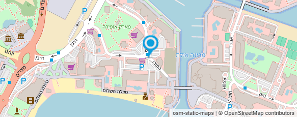 מפת הגעה אל אומנות זעירה - כתיבה על אורז