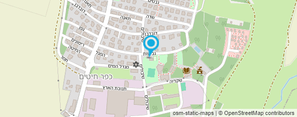 מפת הגעה אל אמיר בלונים