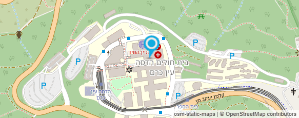 מפת הגעה אל מכון מיכאלסון למניעת עוורון