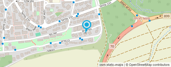 מפת הגעה אל קונדיטורית וולפסון