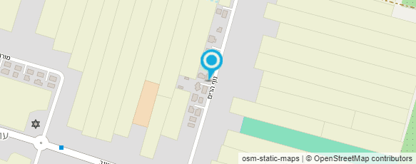 מפת הגעה אל בעיקר פרחים בע"מ