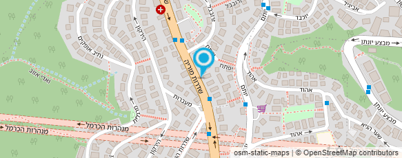 מפת הגעה אל וינטג'- גלריה לשטיחים