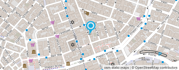 מפת הגעה אל ד"ר הלנה הוניגמן