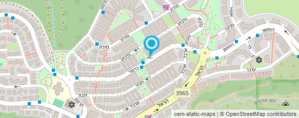 מפת הגעה אל ד"ר אילן גור