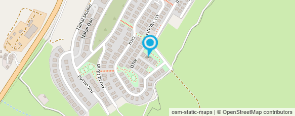 מפת הגעה אל אורלי שלם-ציור מופשט