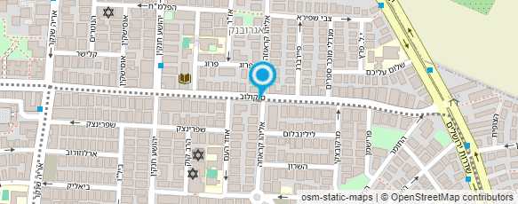 מפת הגעה אל מיכאל לוינזון