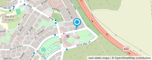 מפת הגעה אל מיקי יורדן - מטפלת ברפואה טבעית