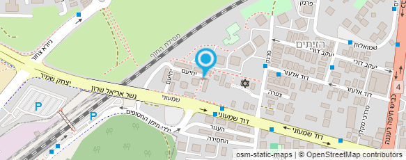 מפת הגעה אל נינה ונטלי שזירת פרחים