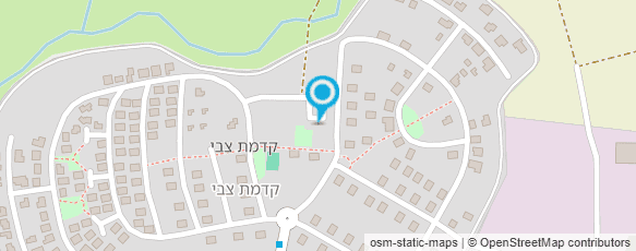 מפת הגעה אל סלי אשור - דיקור סיני