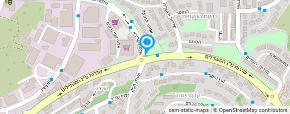 מפת הגעה אל נעלי אלדו