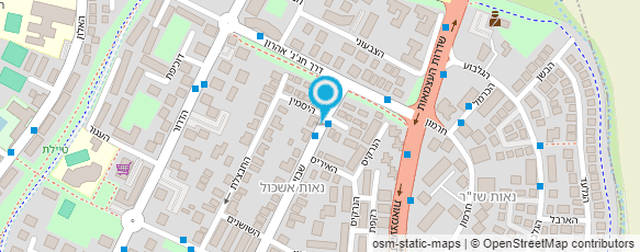 מפת הגעה אל מכון לפיזיותרפיה סינית