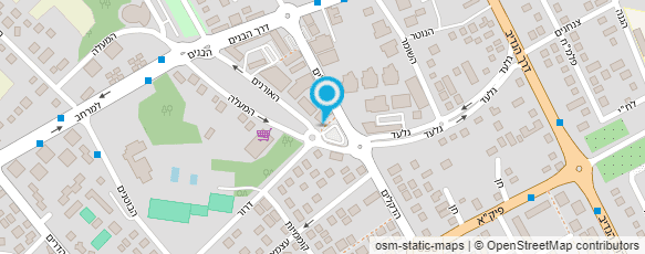 מפת הגעה אל ליאוני בראל - פיסול בצבע