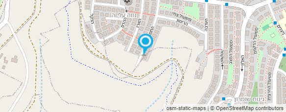 מפת הגעה אל דוד שטיימן