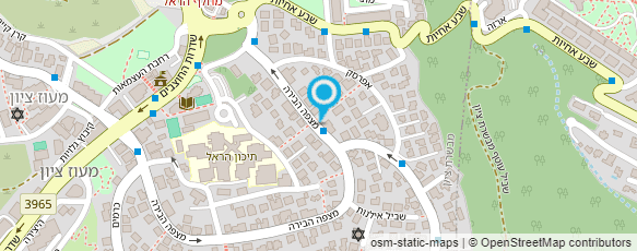 מפת הגעה אל ד"ר ולד שפיצ'ינצקי