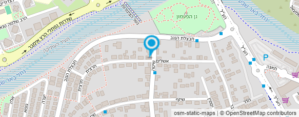 מפת הגעה אל שחר פלק - אורגנית ופיתוח קול