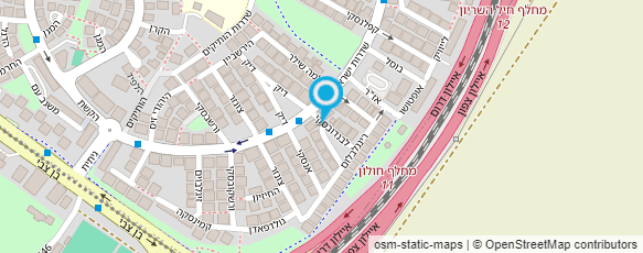 מפת הגעה אל עדינה מייר