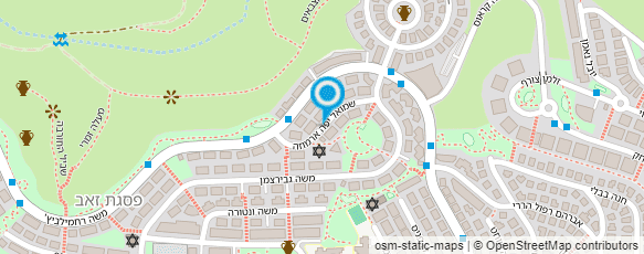 מפת הגעה אל דוד שרת