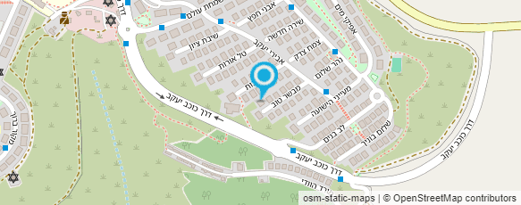 מפת הגעה אל אסתר- אמנות ביודאיקה