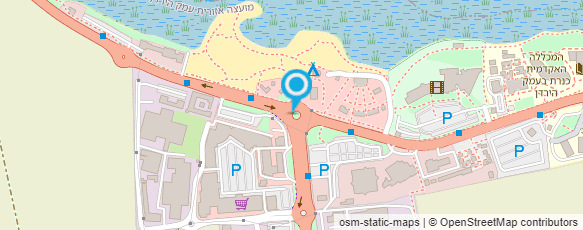 מפת הגעה אל צמח ליסינג