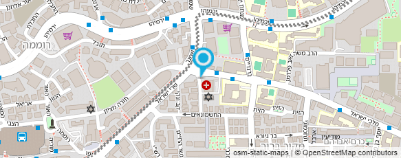 מפת הגעה אל ד"ר לב לנגרמן