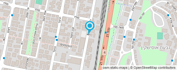 מפת הגעה אל שטיפת רכב הלבנוני