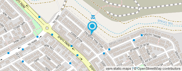 מפת הגעה אל אירנה- עיצוב בלונים