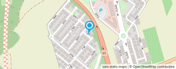 מפת הגעה אל סטודיו אליס